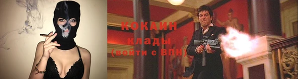 гидра Аркадак