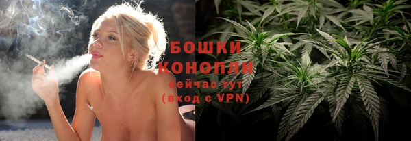 крисы Армянск
