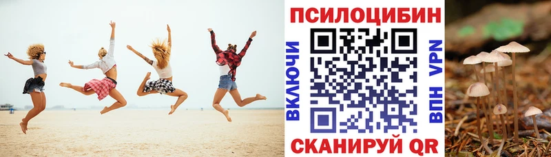 Галлюциногенные грибы Psilocybine cubensis  Уварово 